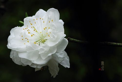 ȦF9.1 ISO100   عⲹ0 EV عʱ䣺1/160 sec