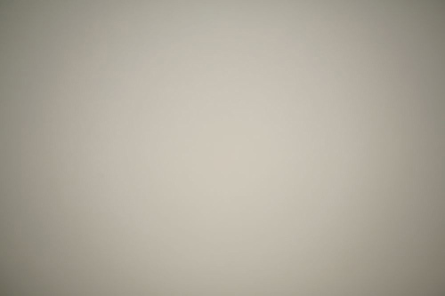 369105379.jpg