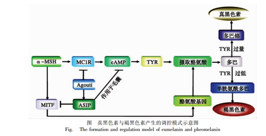 LKdD-fxhupik6840069.png