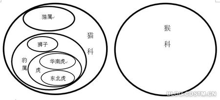 jDkh-fxirmqc4947809.jpg