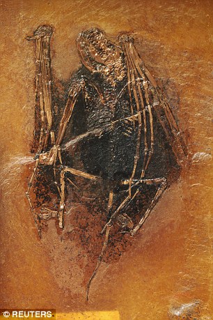 ndUQ-fxirmqc4986083.jpg