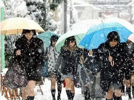 yKOY-fxiwazu5699208.jpg