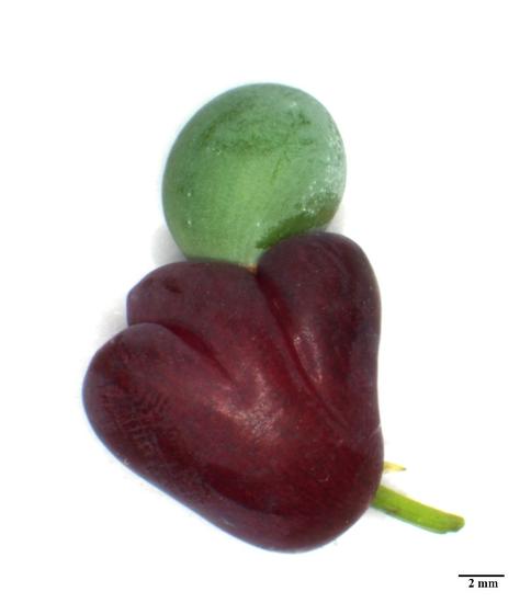 7T3Q-fxizwsi5599937.jpg