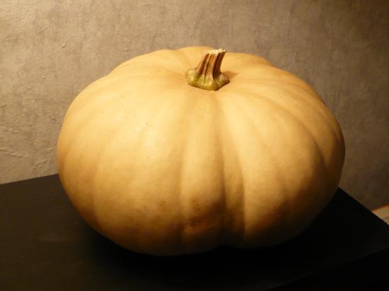hiX_-fxkhcfn4211895.jpg