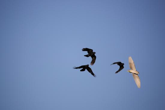 UsqG-fxvuvfp3259278.jpg
