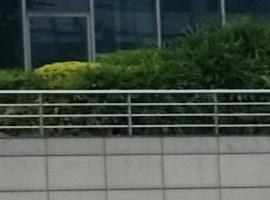 2yan-fxwvxzf6754166.jpg 2yan-fxwvxzf6754166.jpg