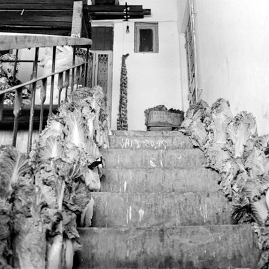 04-O-fykufii0937549.jpg 04-O-fykufii0937549.jpg