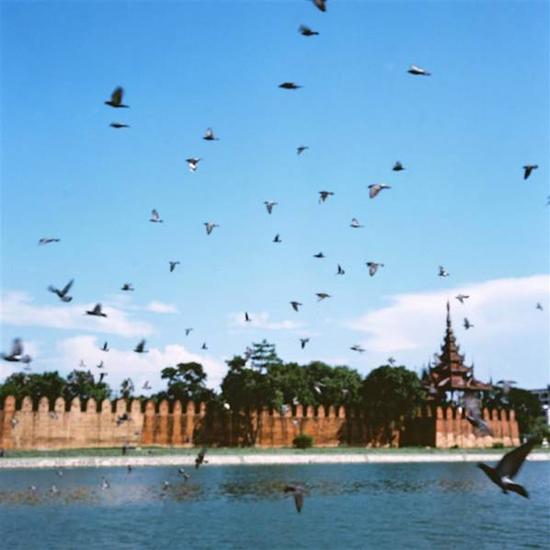 Tsfa-fyqincu7043689.jpg