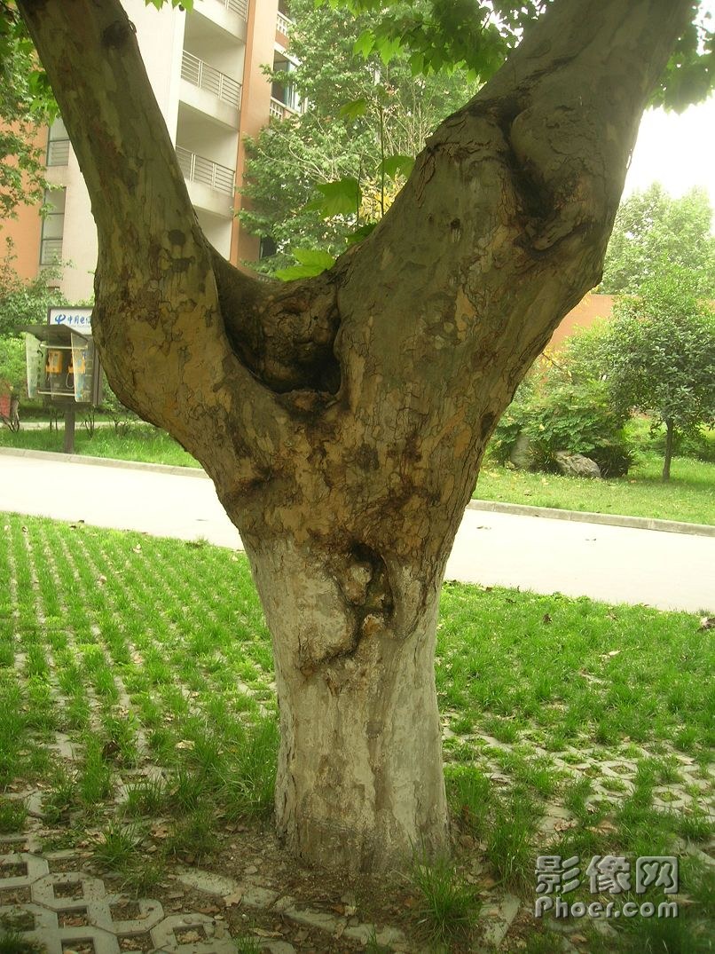 DSCN2461.JPG