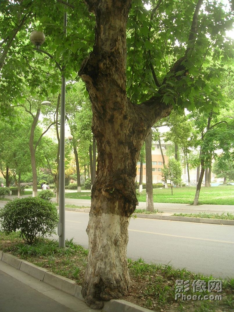 DSCN2434.JPG
