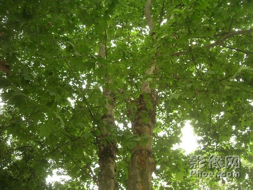 DSCN2422.JPG