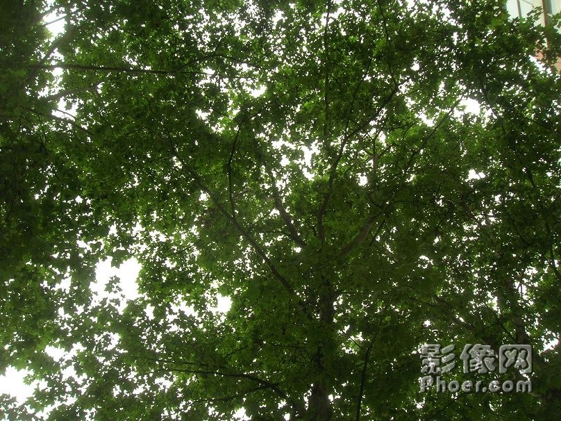 DSCN2428.JPG