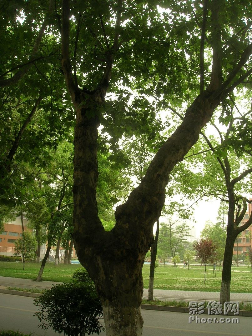 DSCN2431.JPG