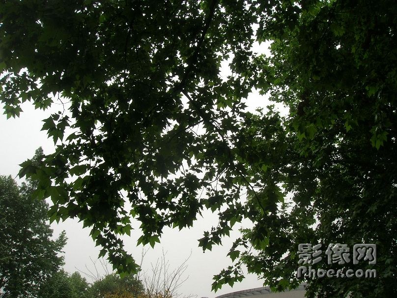 DSCN2473.JPG