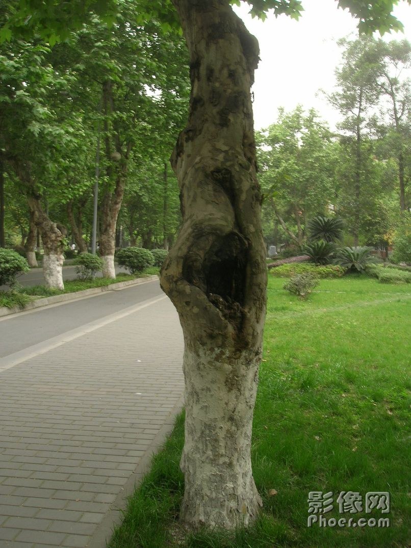 DSCN2500.JPG