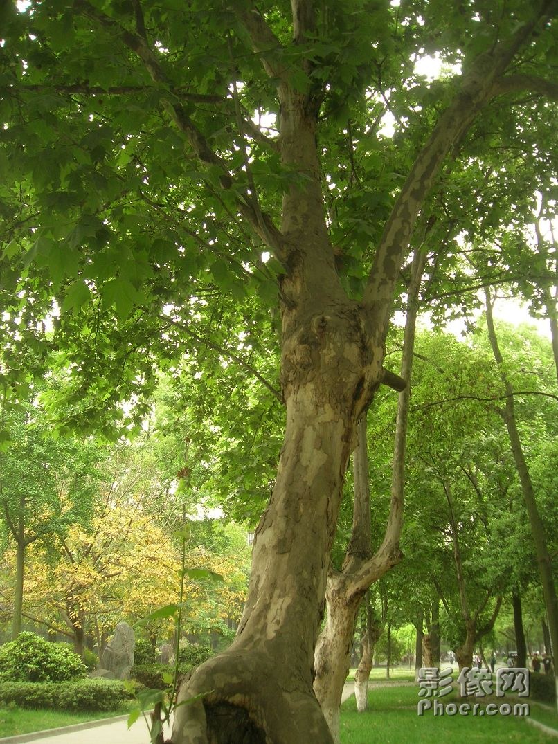 DSCN2458.JPG