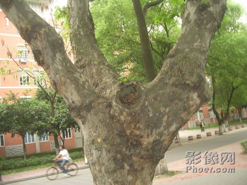DSCN2533.JPG