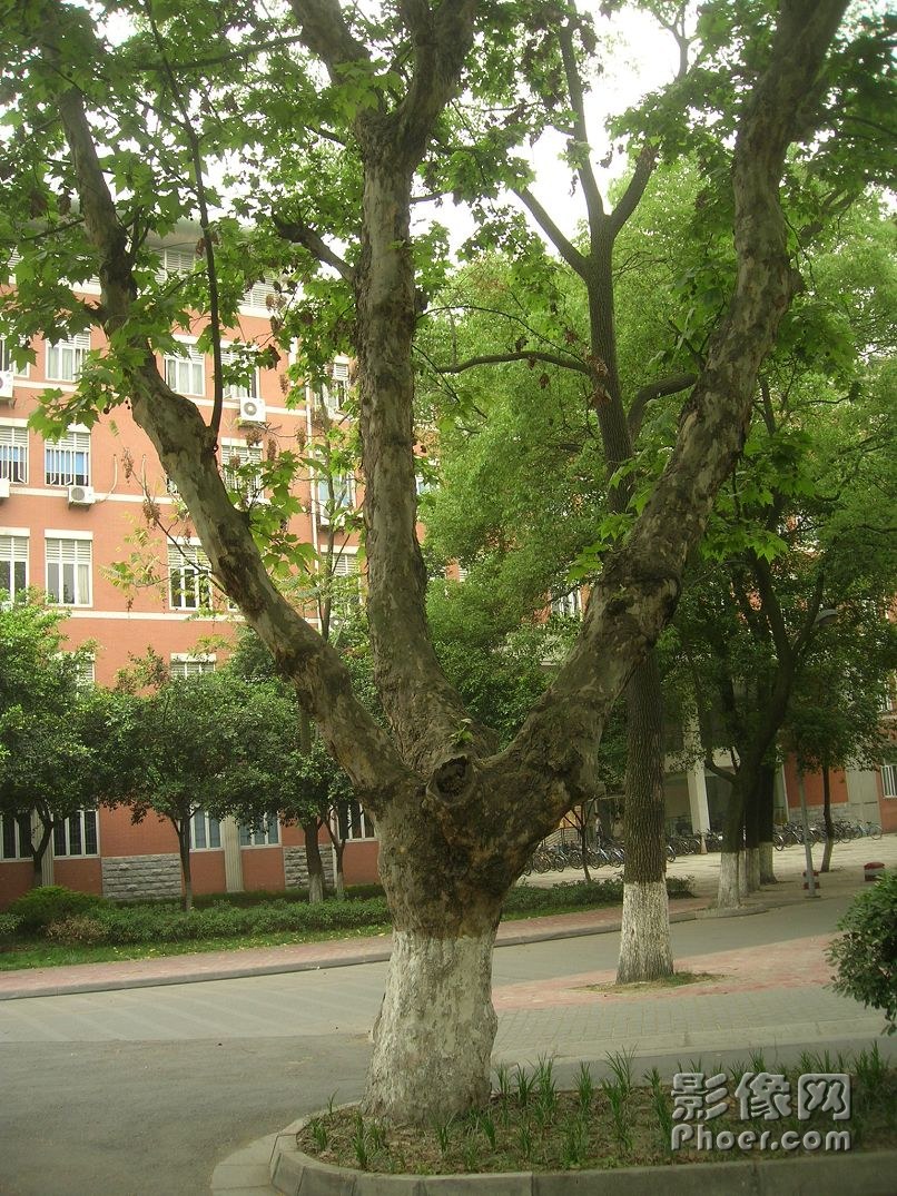 DSCN2532.JPG