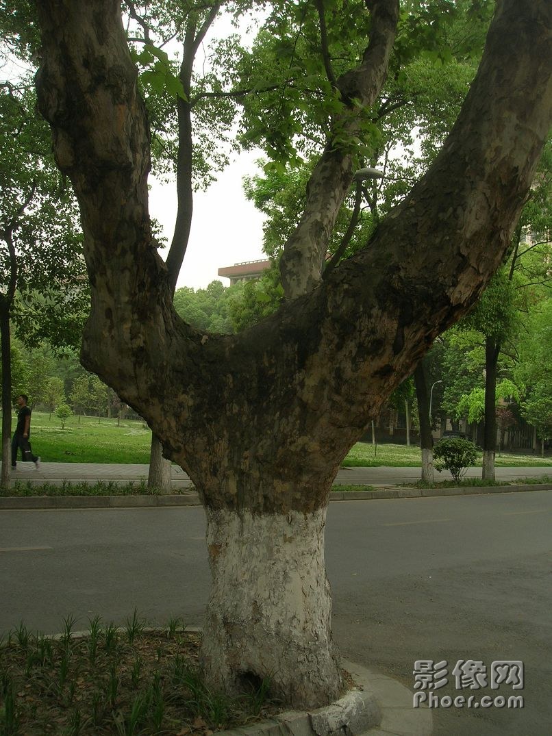 DSCN2444.JPG