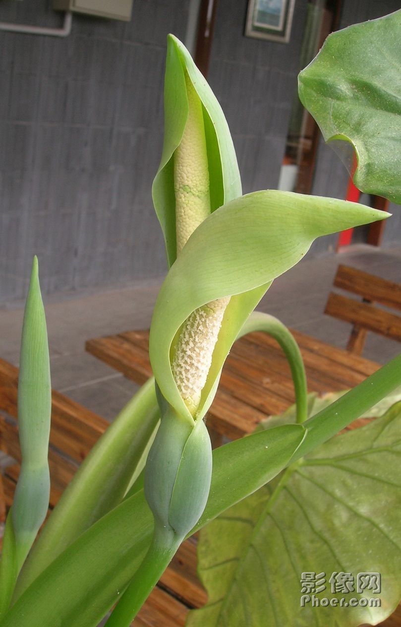 DSCN4963.JPG