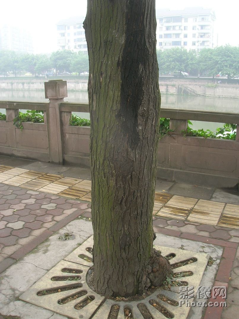 DSCN0543-1.jpg