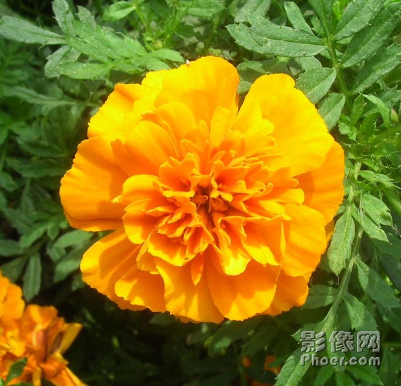 DSCN1885-1.jpg