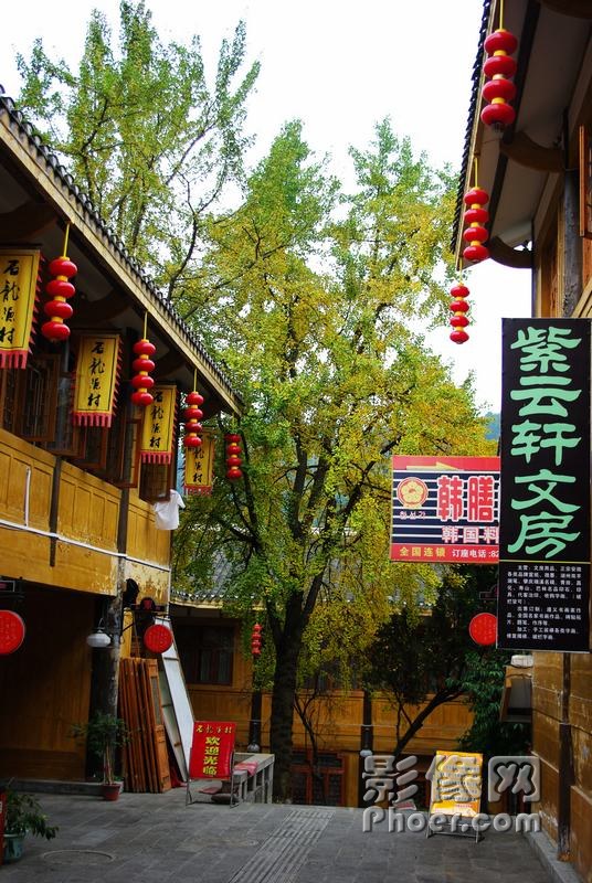 IMGP8206_Ӱ_1.jpg