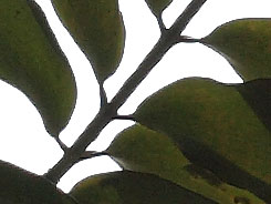 2083684_7056.jpg