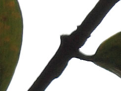 2083684_20028.jpg