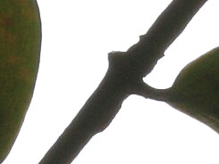 2083684_20016.jpg