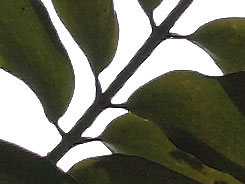 2083684_7040.jpg