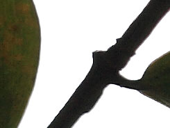 2083684_20032.jpg