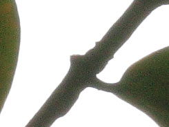 2083684_200332.jpg