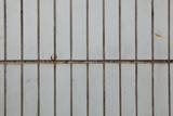 2083684_DPP_0019_resize.JPG
