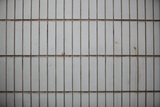 2083684_DPP_0002_resize.JPG