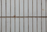 2083684_DPP_0016_resize.JPG