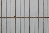 2083684_DPP_0018_resize.JPG