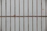 2083684_DPP_0015_resize.JPG