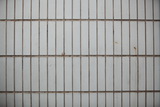 2083684_DPP_0003_resize.JPG