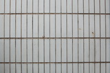 2083684_DPP_0007_resize.JPG