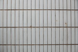2083684_DPP_0005_resize.JPG