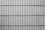 2083684_DPP_0009_resize.JPG