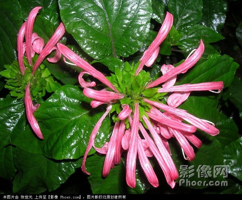 DSCN3644.jpg