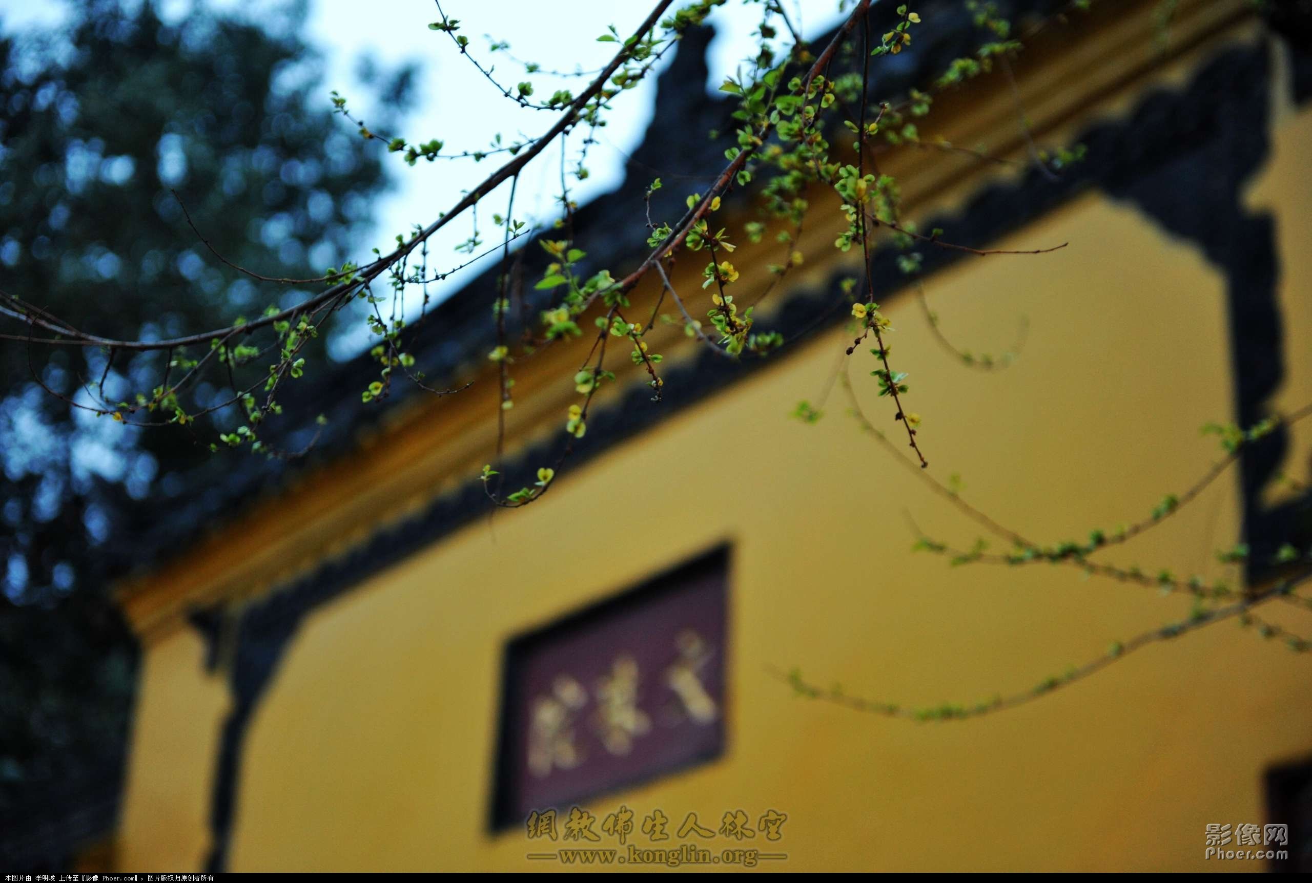 nEO_IMG_XXP_4662.jpg