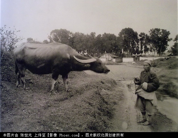 ũзɶ1910궬