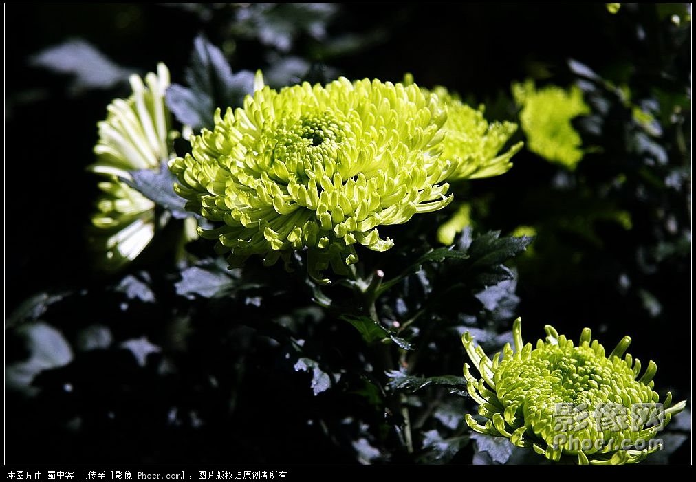 _MG_2363.jpg