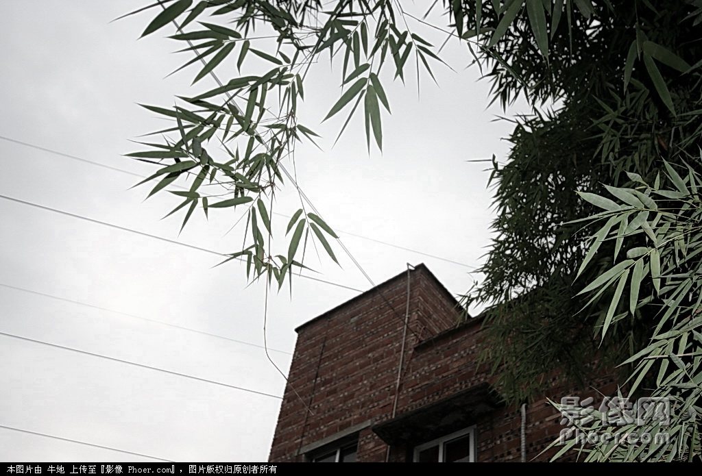 IMG_1097-1.jpg