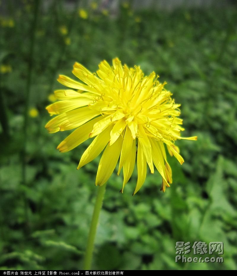 IMG_9870f.JPG