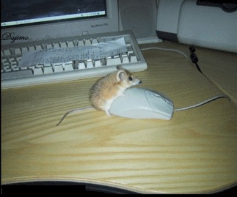 trڽͷŮ