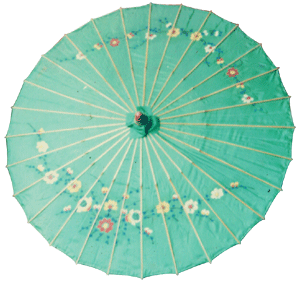 (本贴非广告)泸州──分水伞 (本贴非广告)泸州──分水伞
